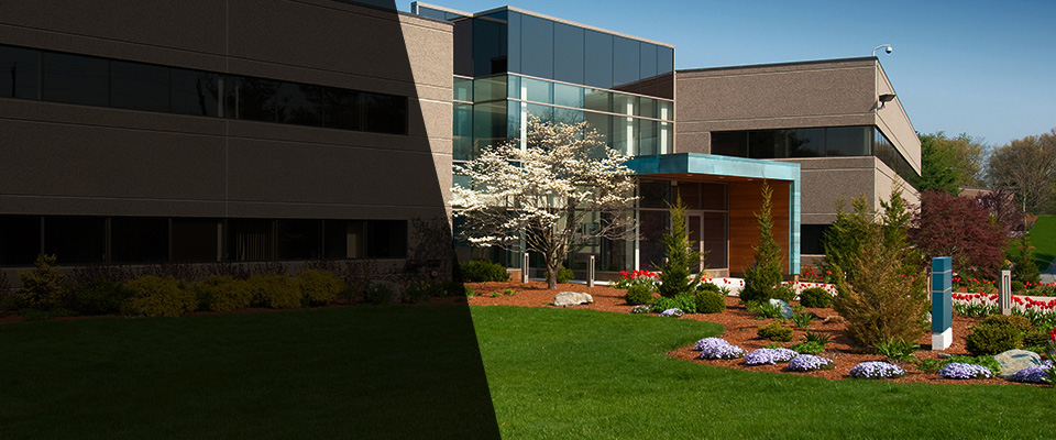 Dillwyn Landscapers