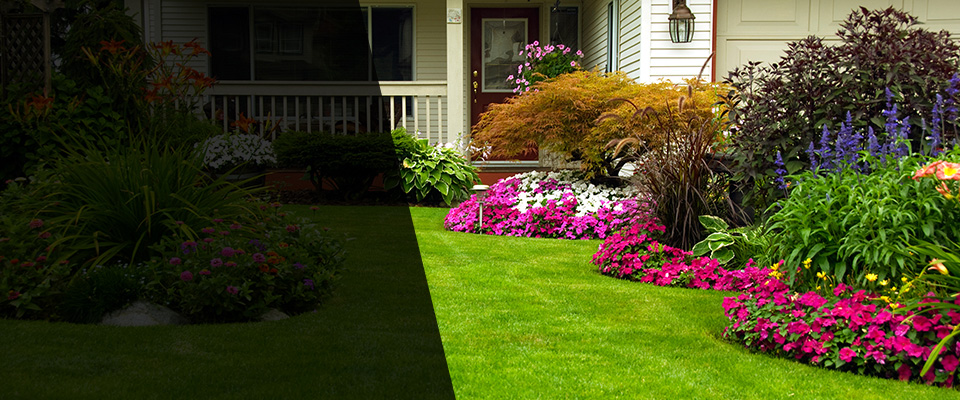 Dillwyn Landscapers