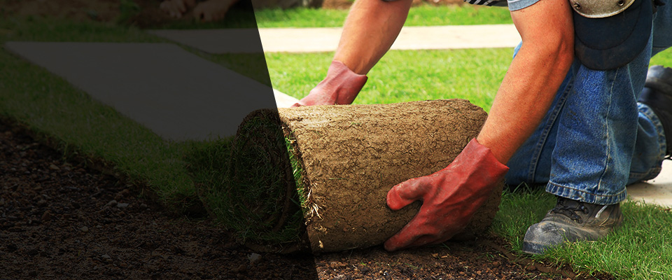 Dillwyn Landscapers